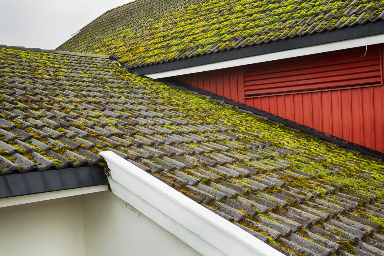 How To Remove Moss From Your Roof